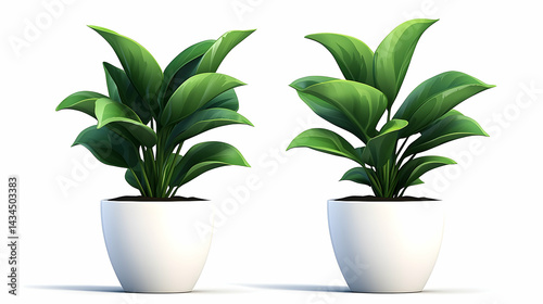Obraz na płótnie Two Golden Pothos Plants in White Pots w salonie