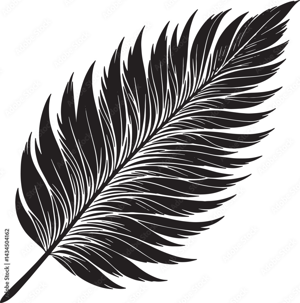 Obraz premium Silhouette feather Artistic Design