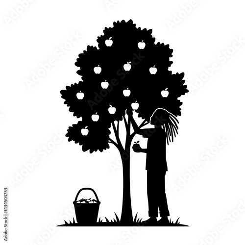 Person Picking Apples from Tree into Basket Silhouette Vector for Harvest