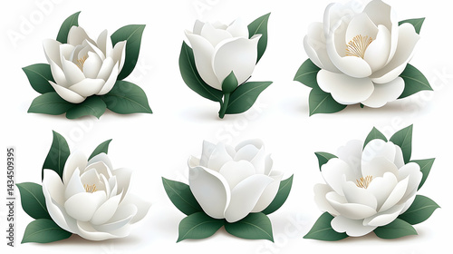 Obraz na płótnie White Jasmine Bouquet Collection: Realistic Floral Illustrations w salonie
