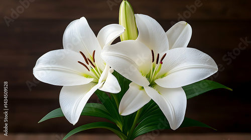 White Lilies on Dark Wooden Background