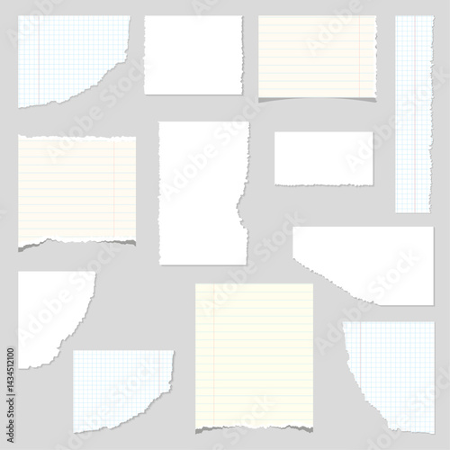 Various torn paper pieces on gray background
