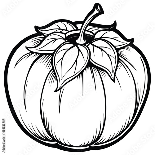 Ornate Tomato Illustration