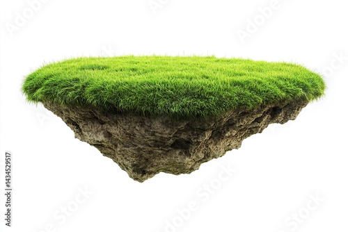 Ground and the grass flying landscape. Eco design concept. Isolated on white background.