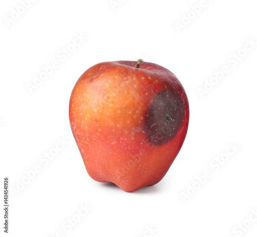One whole rotten apple isolated on white