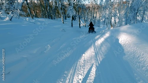 Snowmobile cruising through snow blanketed forest road, surrounded by pristine winter landscape in remote Lapland, Finland, capturing Arctic wilderness and adventure spirit