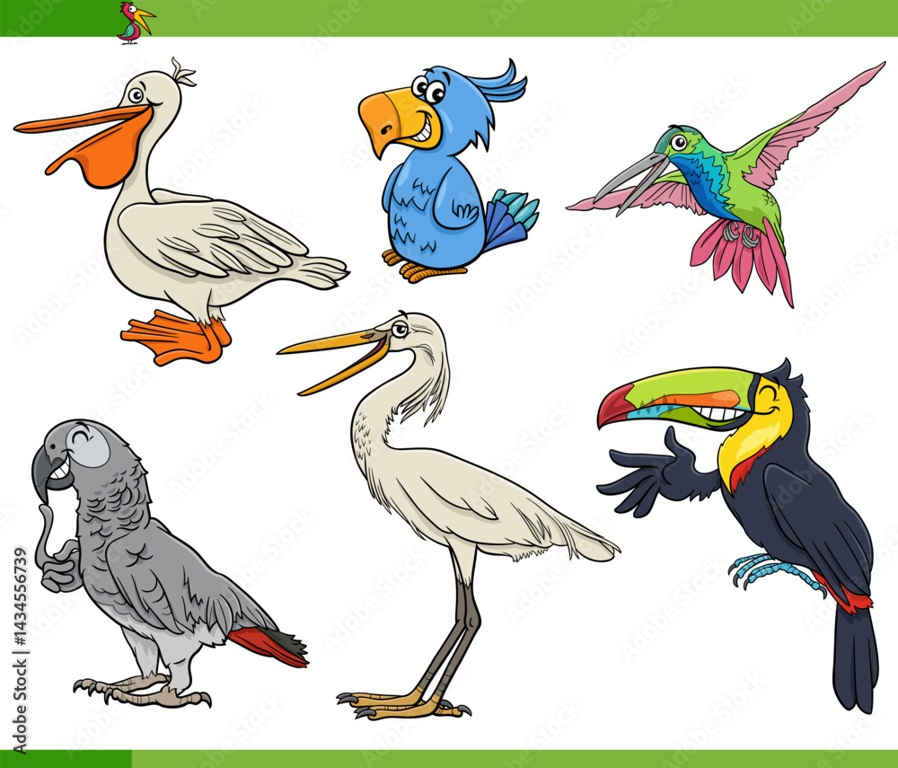 funny cartoon birds animal characters set