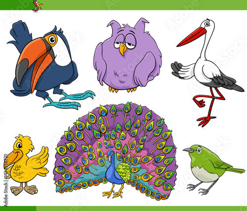 Obraz na płótnie cartoon birds species animal characters collection w salonie