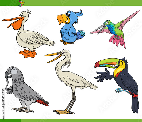 Obraz na płótnie funny cartoon birds animal characters set w salonie