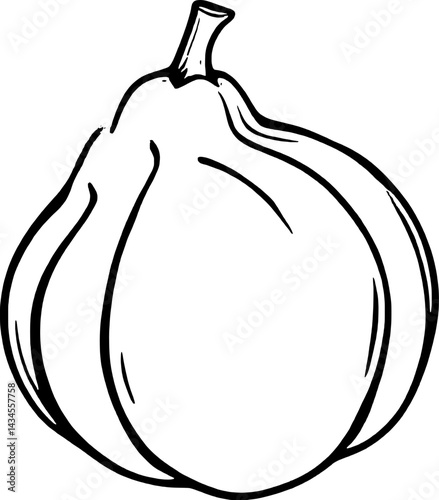 Simple Line Drawing Of A Single Round Fig Fruit