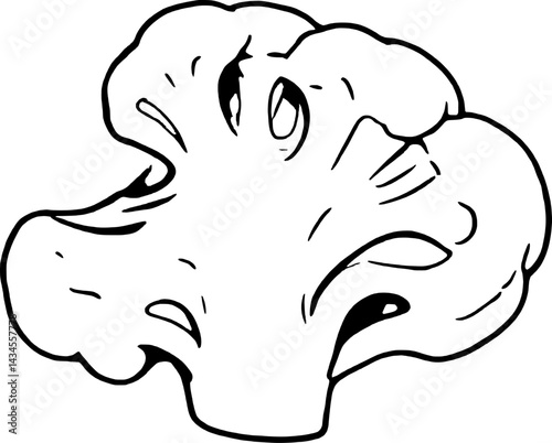 Stylized Line Drawing Of A Single Cauliflower Floret