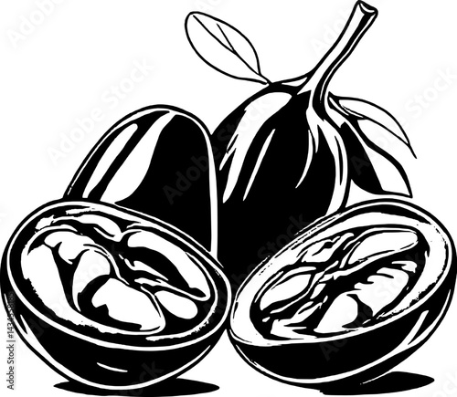 Stylized Black And White Illustration Of Nutmeg Fruit