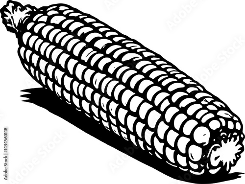 A Detailed Line Drawing Of An Ear Of Corn Isolated On White