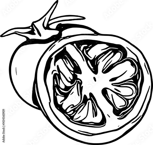 A Striking Line Drawing Of A Juicy Tomato Halved And Ready