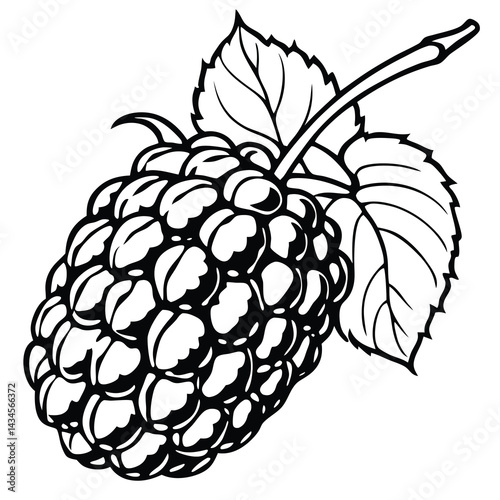 Black and white illustration of a raspberry with leaf (2)