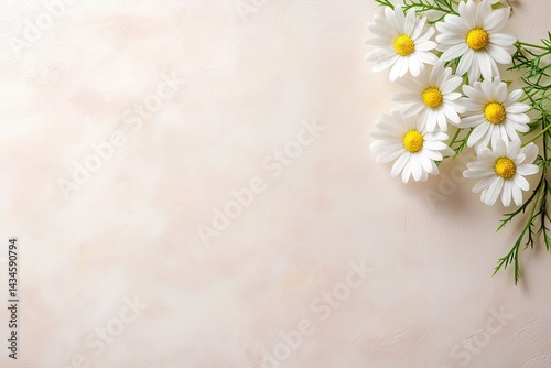 Delicate Daisies on Pastel Background (1)