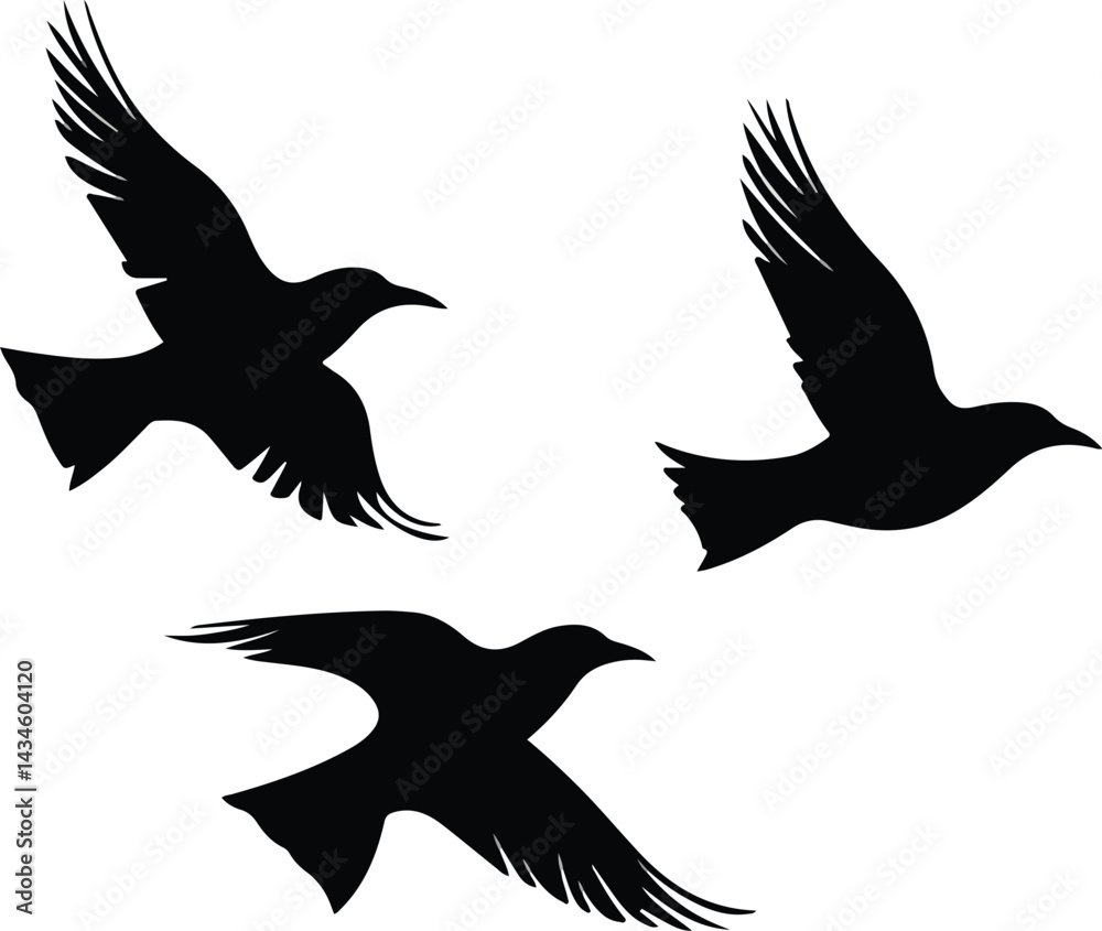 Obraz premium Hawk Diving for Prey – Precision in Action Silhouette