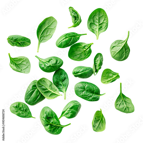 Fresh spinach leaves scattered on a transparent background. Organic baby spinach, green leafy vegetable, ideal for healthy salads, smoothies, and cooking.