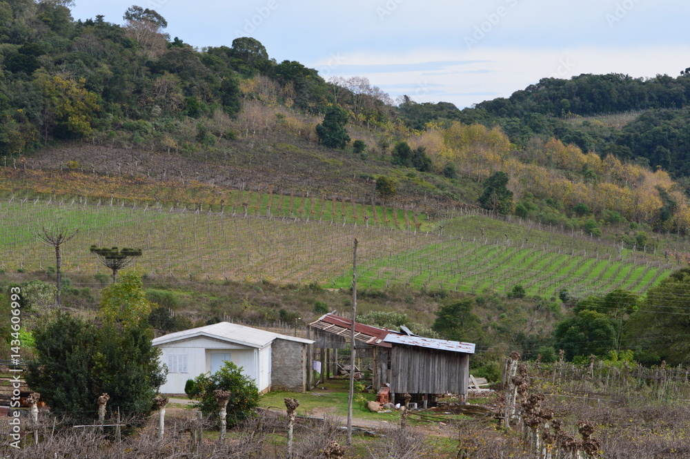 vale dos vinhedos