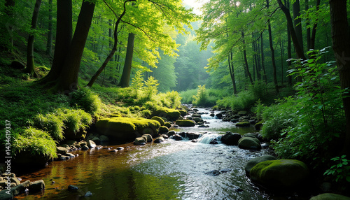 Tranquil Forest Stream
