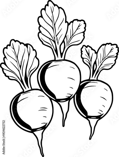 A Whole And Halved Pomegranate Fruit Illustration