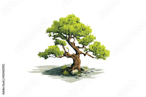 bonsai tree isometric shape isolated
