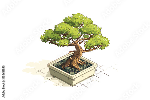 bonsai tree isometric level isolated