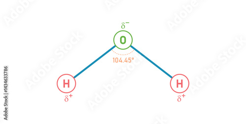 Covalent Bonds of Water Molecule H2O.