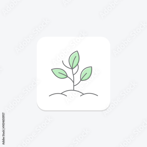 Organic Herb Patch, vector, pixel perfect, illustrator file