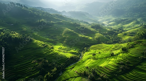 Lush Green Terraced Fields Showcasing Sustainable Agroecology Practices in Rural Development Landscape