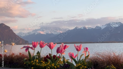 Montreux, Switzerland - Sunset at the lake Geneva, view of the mountains and Mont Blanc, taken from Montreux promenade, French Switzerland
