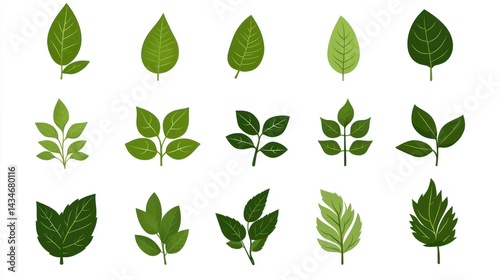 Various Green Leaf Illustrations (1)