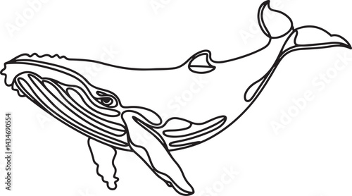 Minimalist black line art sketch of a whale shown in continuous stroke style isolated on white background representing marine life and ocean themes in vector art