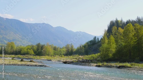 Chilliwack River as seen from the Vedder Rotary Trail North during a spring season in Chilliwack, Fraser Valley, British Columbia, Canada