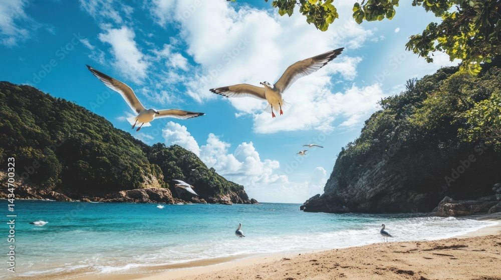 Fototapeta premium Seagulls flying tropical cove beach