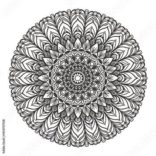 Luxury vector mandala template background