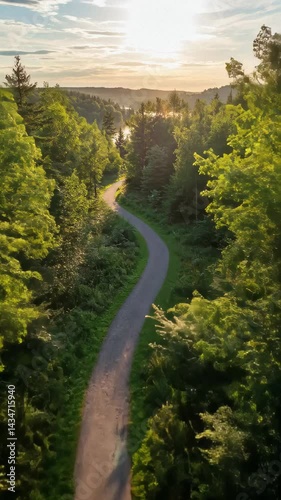 Aerial View Winding Path Through Lush Green Forest at Sunset