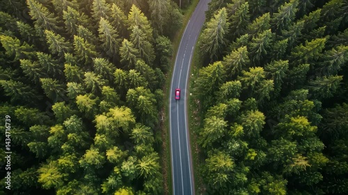 Red Car on Winding Forest Road. Aerial View