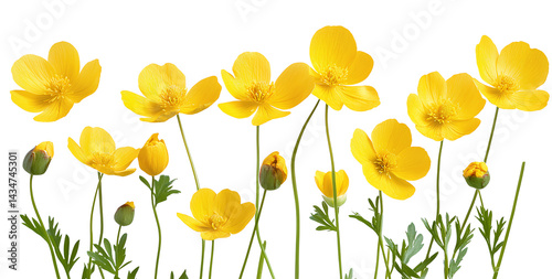 Moments captured in light,Graphics designed with soul, speaking emotions louder than words ever could