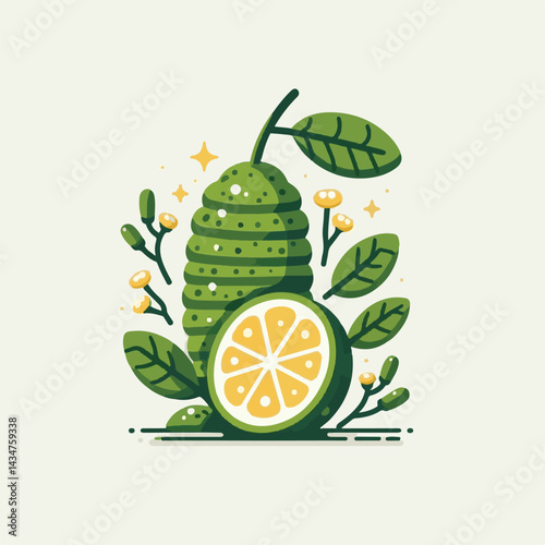 fruit, green, fresh, lime, food, organic, citrus, healthy, plant, ingredient, natural, finger, ripe, gourmet, caviar, diet, tasty, nature, raw, vegetarian, australasica, cooking, colorful, nutrition, 