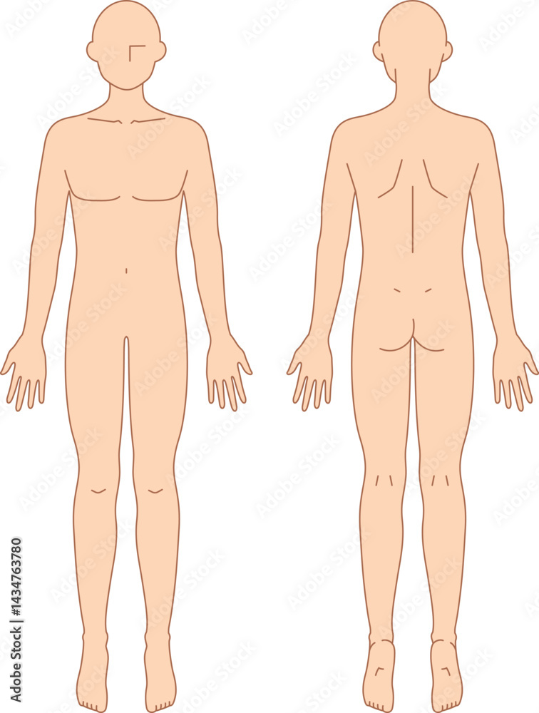 男性のシンプルなヌードイラスト(前後) 男性のシンプルなヌードイラスト(前後)