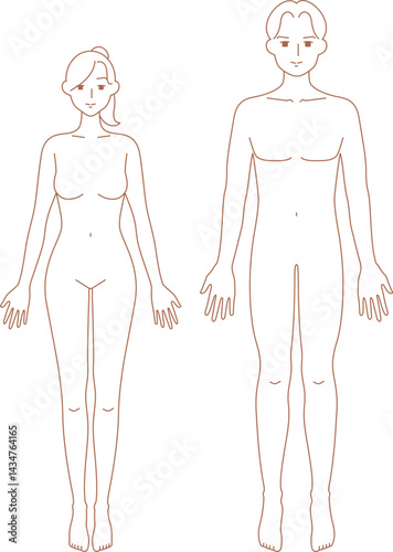 前を向いた男女のシンプルなヌードイラスト