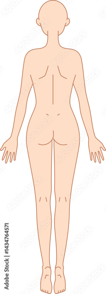 Fototapeta premium 後ろ姿の女性のシンプルなヌードイラスト