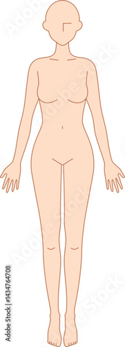 前を向いた女性のシンプルなヌードイラスト