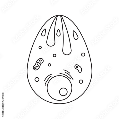 Plasmodium