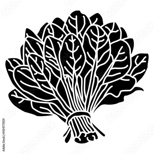 spinach vegetable