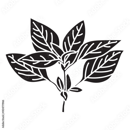 Daun Kemangi