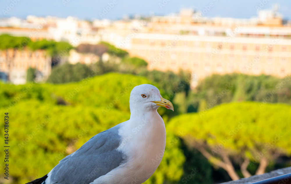 View from iconic Altar of the Fatherland to Rome historic center, Italy