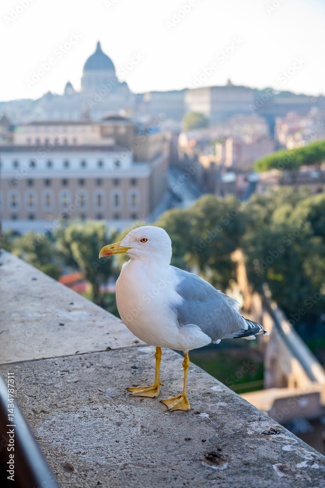 View from iconic Altar of the Fatherland to Rome historic center, Italy