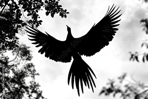 Black bird flying silhouette against sky and tree branches wildlife photography stock image art